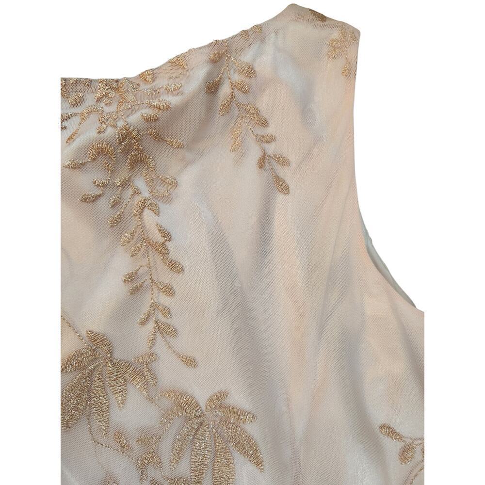 Tahari Arthur S. Levine ASL dress sz 14 pink metallic embroider sheer lined - Picture 8 of 16
